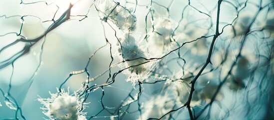 Close up shot of a tangled metal mesh entwined with poplar fluff against a blurred background capturing allergens on the street in the summer with copy space image