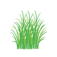 Grass doodle sketch style. Hand drawn green grass field outline scribble background. Sprout, flower, clover elements. Vector illustration.