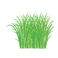 Grass doodle sketch style. Hand drawn green grass field outline scribble background. Sprout, flower, clover elements. Vector illustration.
