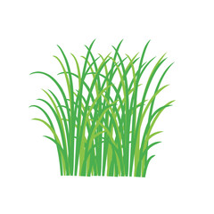 Grass doodle sketch style. Hand drawn green grass field outline scribble background. Sprout, flower, clover elements. Vector illustration.