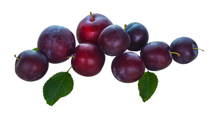 there is a bunch of plums