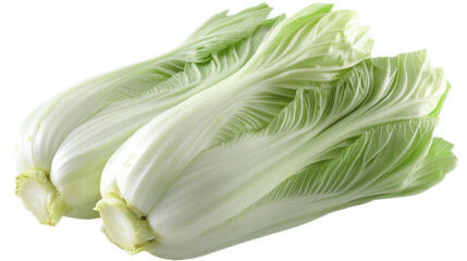 A high-resolution, isolated shot of two fresh Belgian endives with crisp, pale green leaves, set against a plain white background.