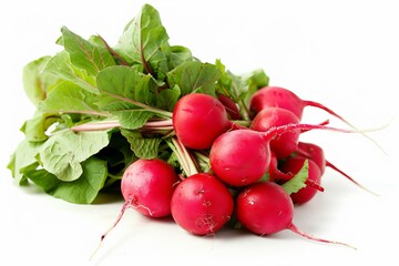Fresh red radishes with green tops on a white background