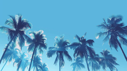 Fototapeta premium A forest with trees and a blue sky