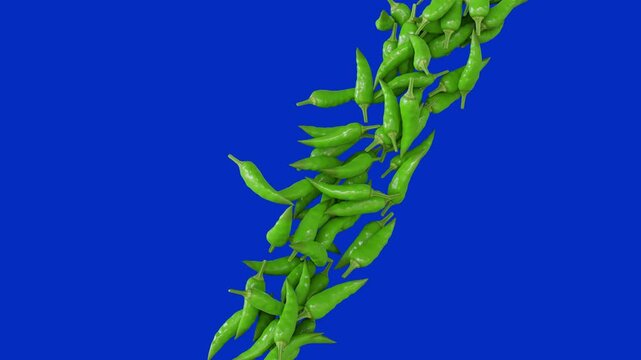 falling green chilli isolated blue screen