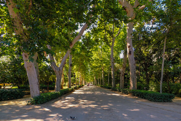 Seville - a city in southern Spain, the capital of the Andalusia region, a park near the Spanish Square