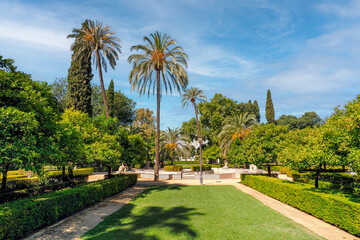 Seville - a city in southern Spain, the capital of the Andalusia region, a park near the Spanish...