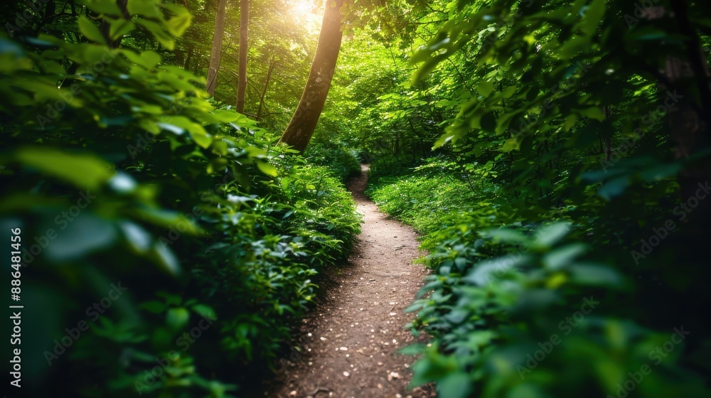 Aufkleber a serene pathway winds through a lush green forest, illuminated by soft sunlight breaking through th