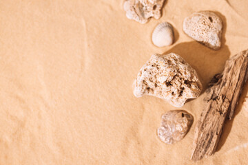 Sandy beautiful background with shells. Stones and bark of a tree on a backdrop of clean smooth sand.
