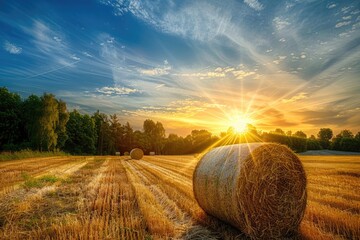 Hay Bales at Sunset in a Golden Field