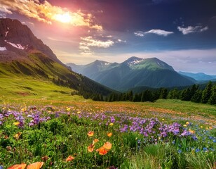 Obraz premium A world of vibrant colors and natural wonders