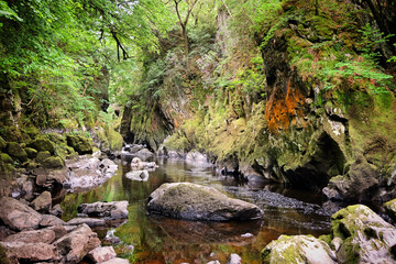 The River Conwy flows throw a steep ravine known as Fairy Glen, Betws y Coed, Snowdonia, North...