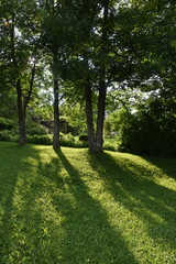 Trees in the park in summer, Sainte-Apolline, Québec, Canada