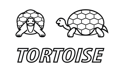 Illustration vector of Tortoise symbol logo icon