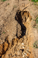 Rain erosion of sandy soil on a slope