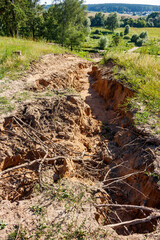 Obraz premium Formation of a ravine on a sandy slope due to erosion by water flows