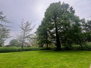 Picturesque view of trees and green grass