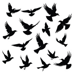 Fototapeta premium Silhouettes of wild birds in flight