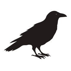 Obraz premium Set of crows. Set of crow silhouettes. Crow vector illustrations set. Crow silhouette icons isolated.