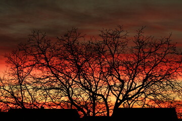Fototapeta premium Sunset