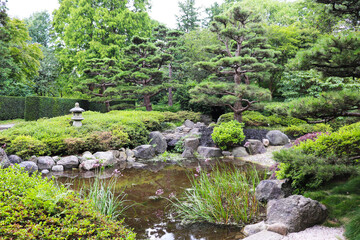 summer landscape. corner of the Japanese garden in the summer park
