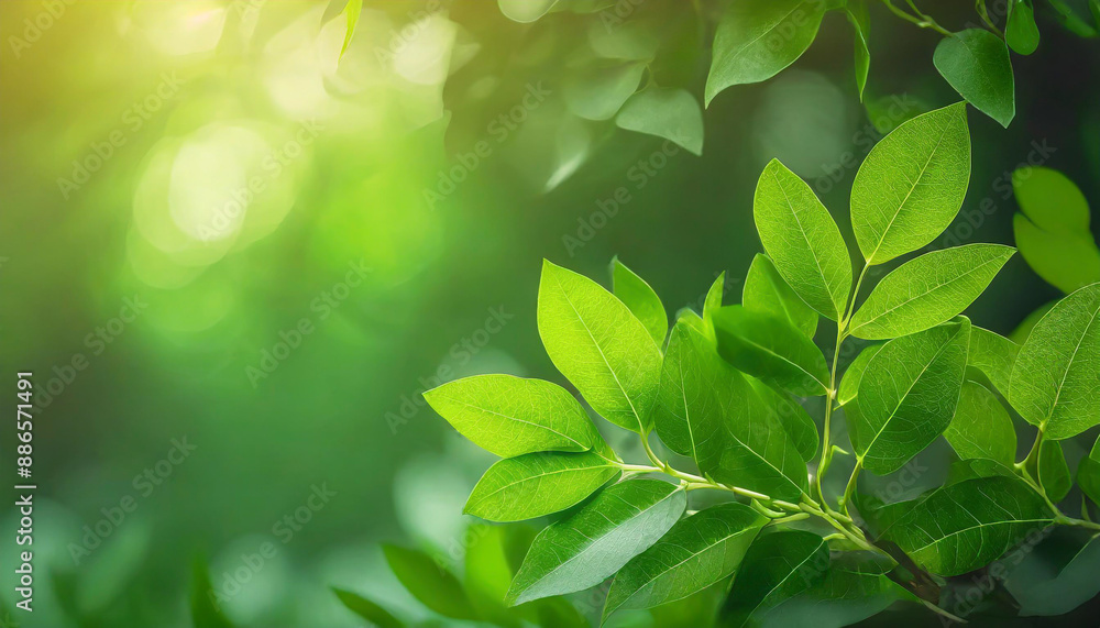 Poster close up of nature view green leaf on blurred greenery background under sunlight with bokeh and copy