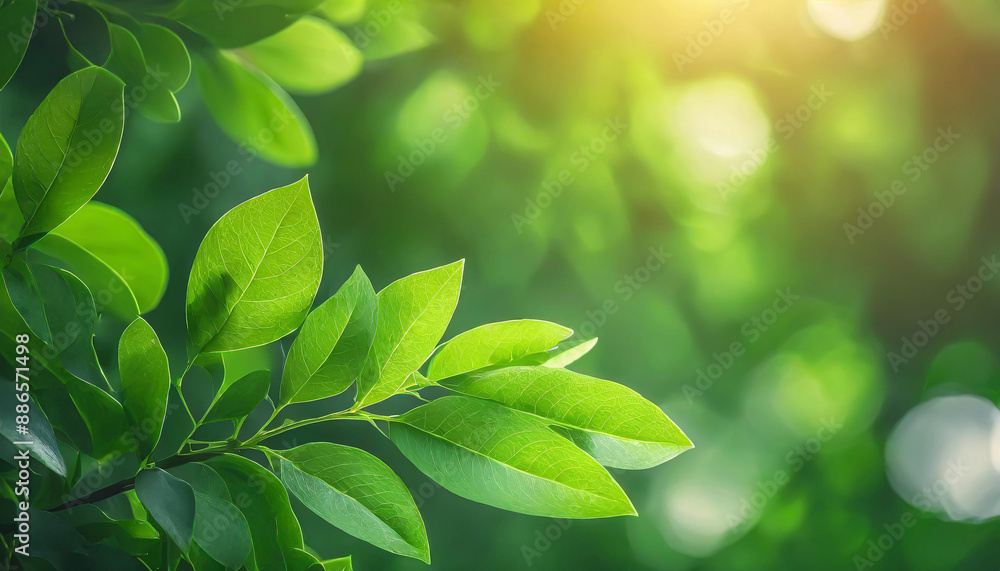 Poster close up of nature view green leaf on blurred greenery background under sunlight with bokeh and copy