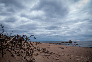 a coil of barbed wire on a sandy beach
