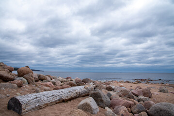 dried log on the lake shore