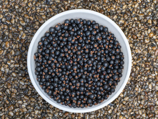 Black currants are a rich source not only of vitamin C but also of vitamin P. We classify black currants among plant antioxidants. They can be eaten raw, but also canned.