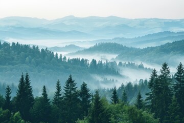 Misty mountain landscape with fog and trees.