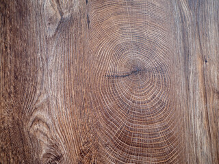 Naklejka premium The wooden oak board is suitable for the production of furniture, decoration or cladding in the interior, but also as a photo background.
