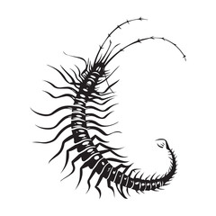 centipede  logo tattoo line art vector in black and white logo insect scary for print in high quality 