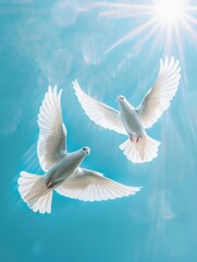 Obraz premium Birds soaring in a clear blue sky with the sun shining from behind, perfect for a bright and uplifting image