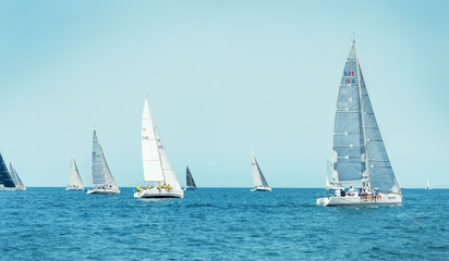 Sailboats races in regatta near Brindisi under blue sky. Crew members working together on deck