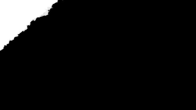White torn paper ripping animated transition motion frame by frame with black background screen. Transitions Motion Graphics 4K resolution with Alpha channel. 