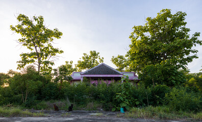 Close-up view of an old pink house which is abandoned.