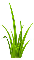 Realistic Grass Blades