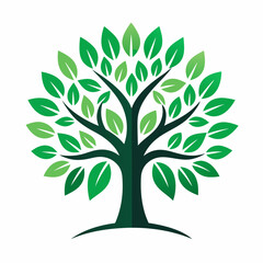 set of maple trees of life vector illustration