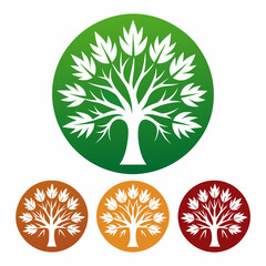 set of maple trees of life vector illustration