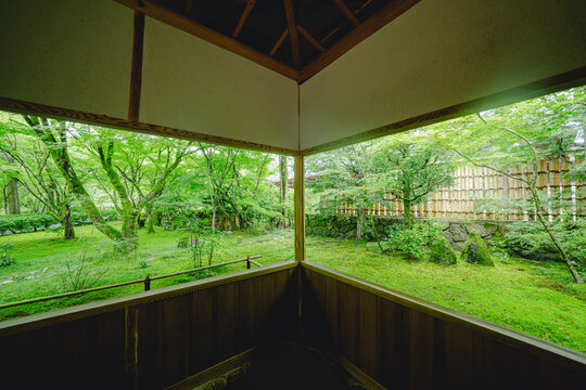 京都の西芳寺の庭園