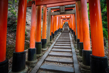Fushimi Inari Shrine Kyoto Japan