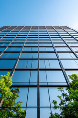 A tall modern glass building graphed from a low angle, with green trees in the foreground and a clear blue sky in the background.