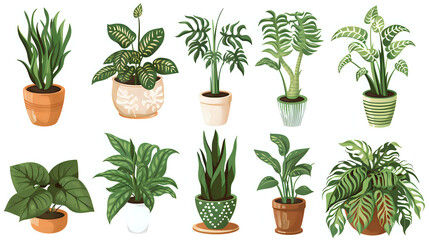 A collection of potted plants in various sizes and colors