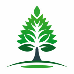 set of maple trees of life vector illustration 