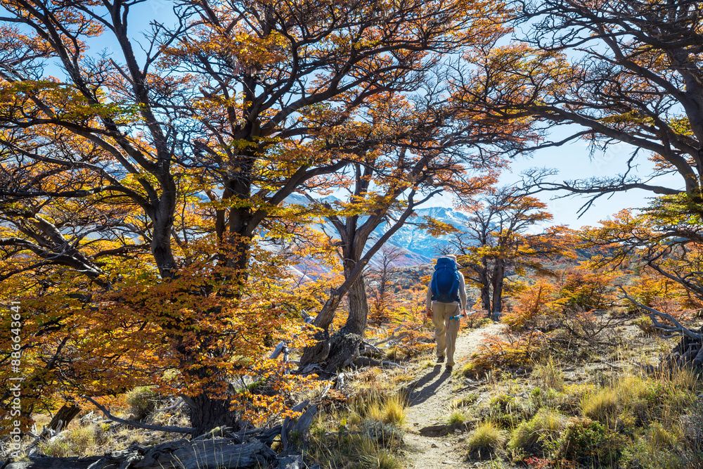 Wall mural Hike in autumn season