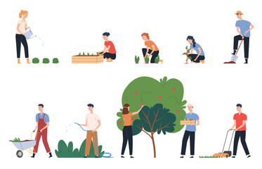 People work in the garden. Seedlings of vegetables in beds, watering plants, cleaning the area. Homework outside. Vector illustration