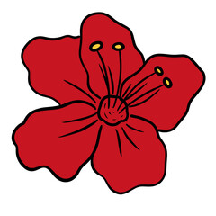 Red Hibiscus Flower Vector Illustration - Botanical Art.