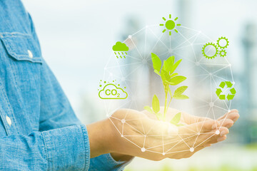 Male hand with green tree sprout around with green eco icon. Plant grow forest tree for carbon absorb saving ecology concept.