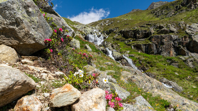 Gebirgsbach mit Wasserfall und bl&uuml;hender Flora in den Oetztaler Alpen